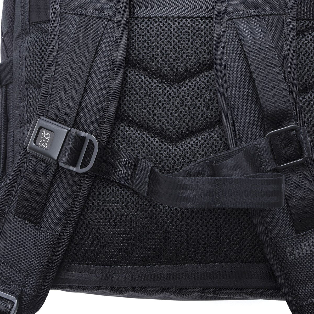 Close view of the Recruit chest buckle and shoulder straps.