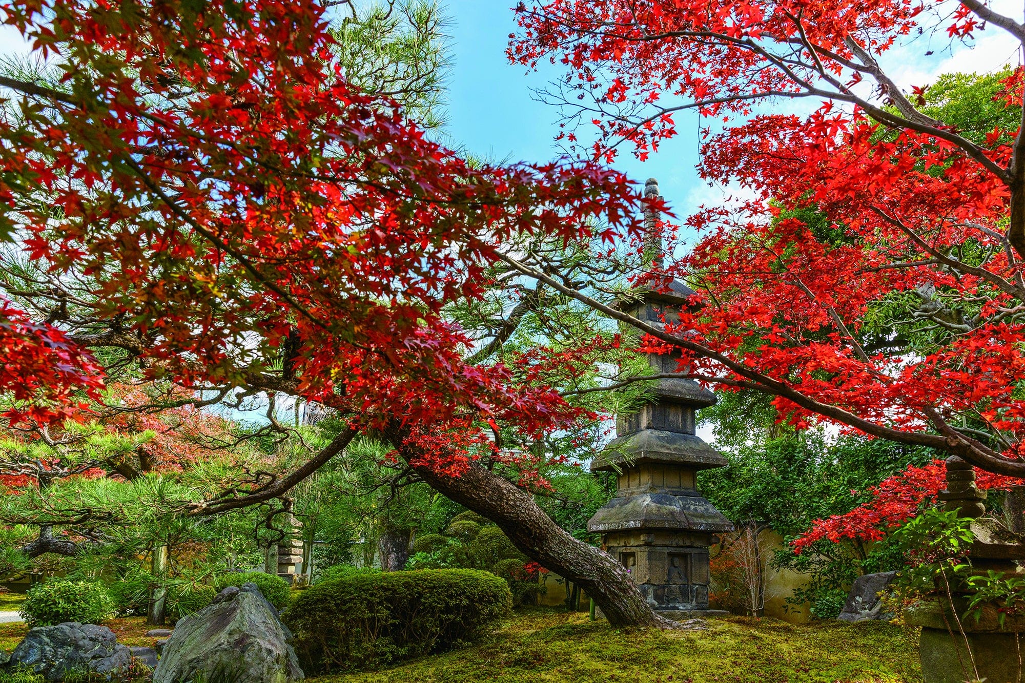 Kyoto Shoden Eigen-in garden, venue photograph supplied by SUBU